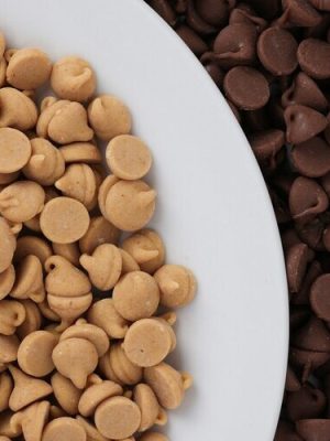 inclusions pépites de chocolats
